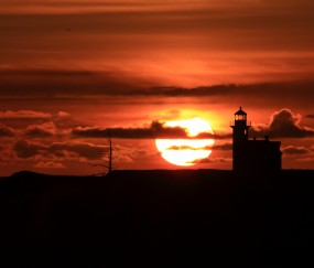 开云APP-鹈鹕收割北京队启示录，德罗赞式攻防转换核心的现代篮球价值