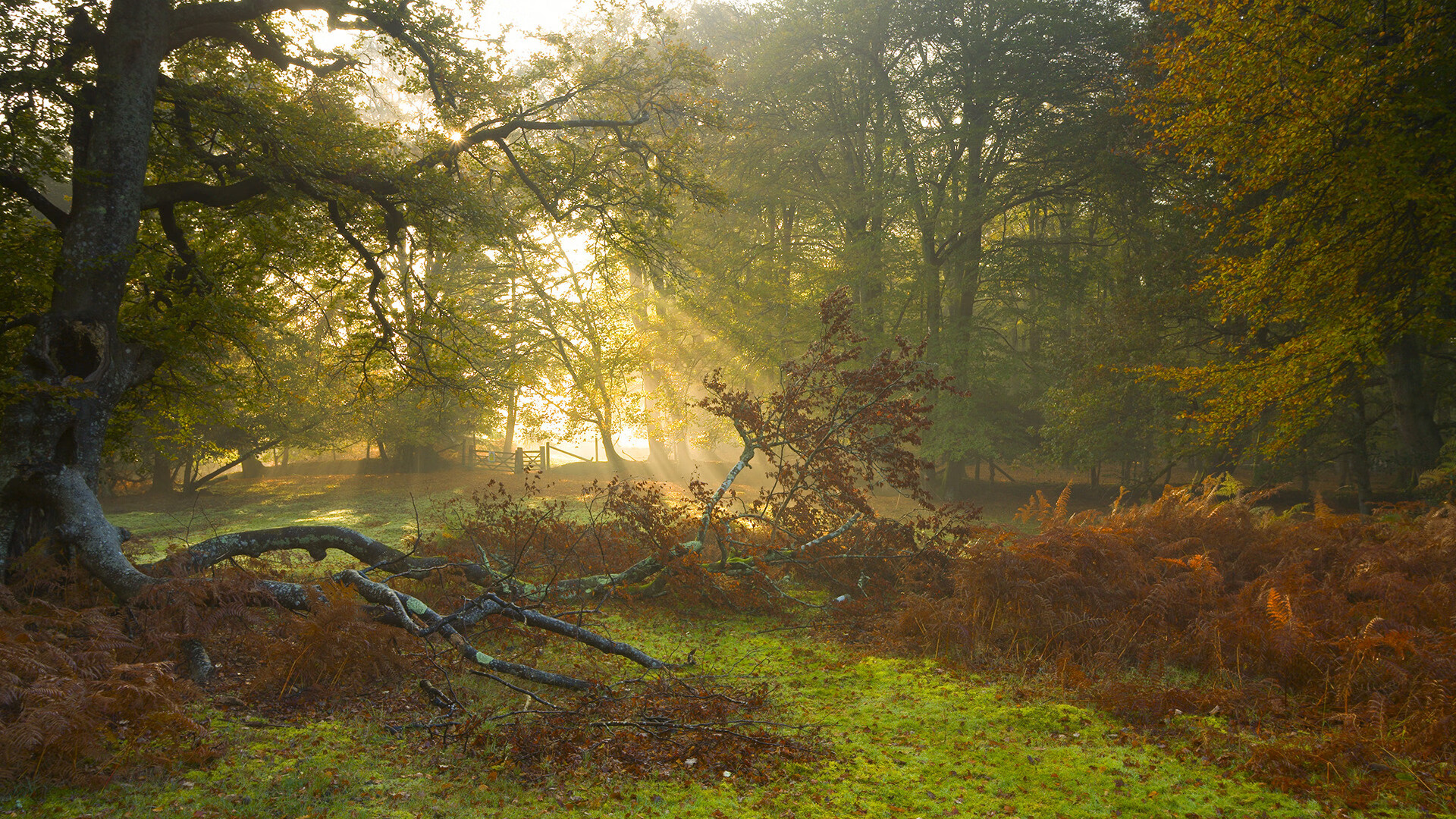 奥运周期关键战焦点战，勒沃库森战术如何成功压制阿根廷